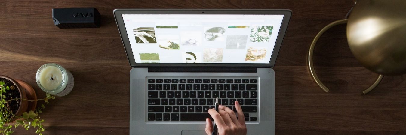 Web and SEO Sample